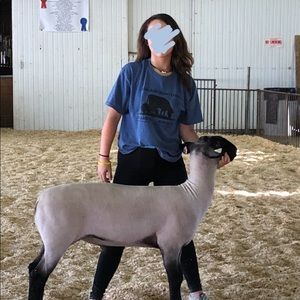 Meet your Posher, Rhianne